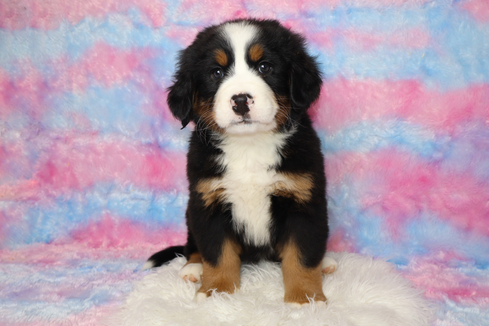 Winnie